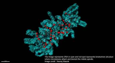 Systems & Synthetic Biology